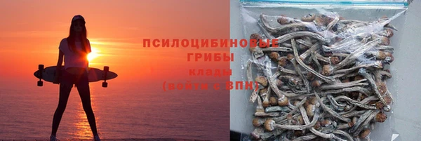 шишки Алексеевка