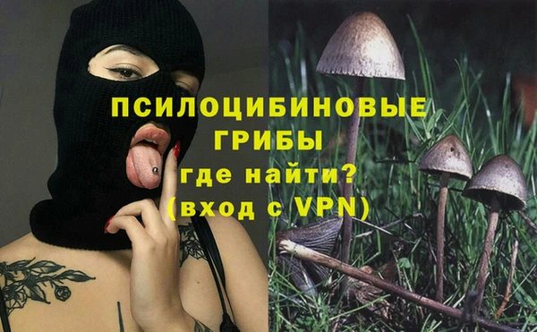 шишки Алексеевка