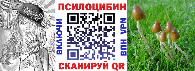 Галлюциногенные грибы Psilocybine cubensis  МЕГА ССЫЛКА  Куровское 