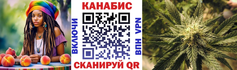 Конопля планчик  Куровское 